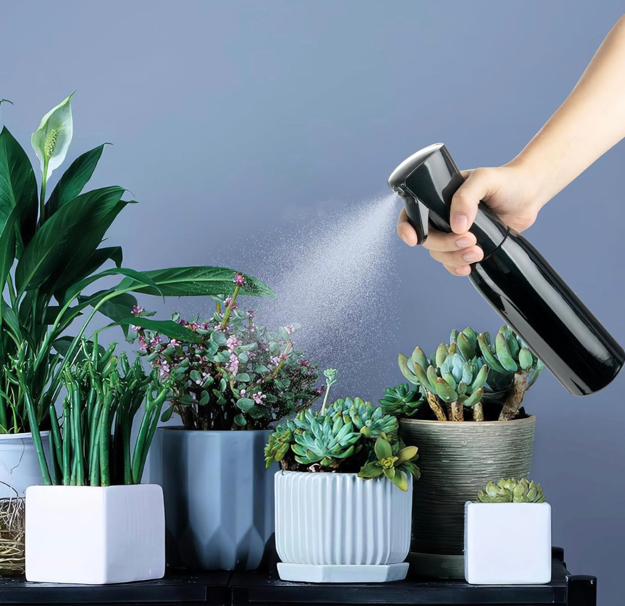 Sprühflasche Blacky ,kontinuierliche Wassernebel-Sprühflasche